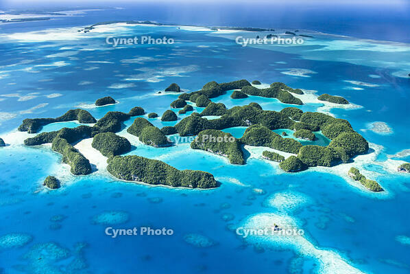 ロックアイランド　ロック・アイランド　セブンティ・アイランド　太平洋　南ラグーンのロックアイランド群　世界遺産　群島　多島海　南国　サンゴ礁　ジェルークウィッド島　Ngerukewid　空撮　セスナ [SKA110002439]