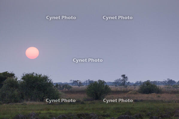 朝　日の出　太陽　湿原　湿地　モレミ野生動物保護区　世界遺産 [SKA110002651]