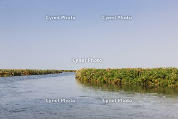 オカバンゴ川本流　パンハンドル　シャカウィ　湿原　湿地　世界遺産 [SKA110002658]