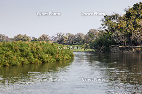 オカバンゴ川本流　パンハンドル　シャカウィ　湿原　湿地　世界遺産 [SKA110002659]