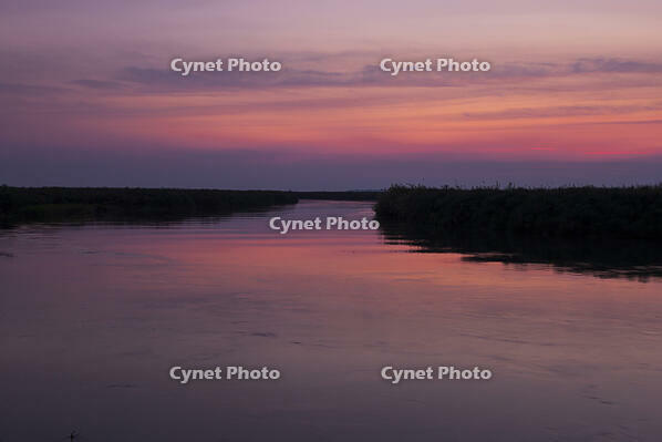 オカバンゴ川本流　パンハンドル　夜明け　シャカウィ　湿原　湿地　世界遺産 [SKA110002660]