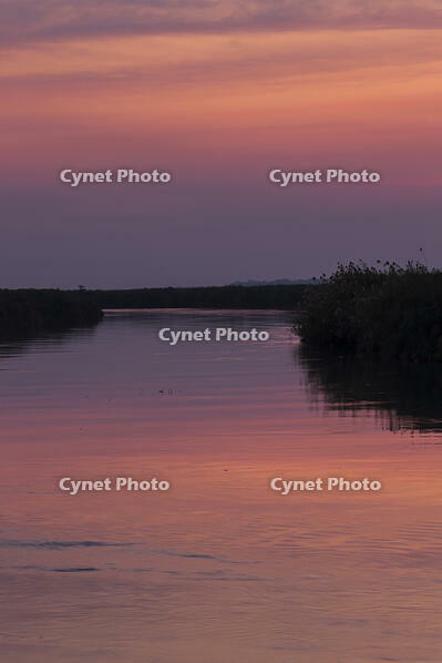 オカバンゴ川本流　パンハンドル　夜明け　シャカウィ　湿原　湿地　世界遺産 [SKA110002661]