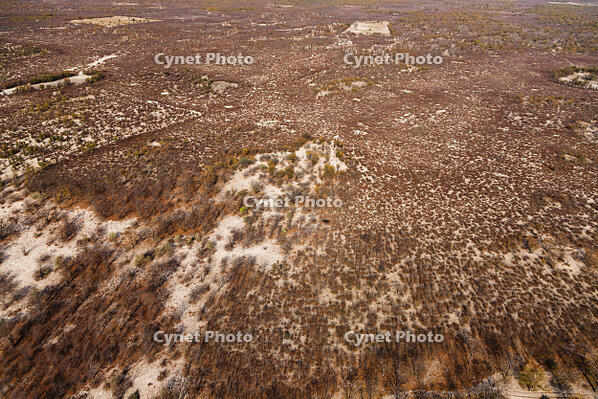 潅木地帯　マウン　湿地帯　世界遺産　空撮 [SKA110002663]