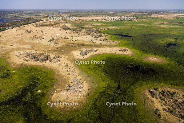 湿地帯　中州　世界遺産　空撮 [SKA110002664]