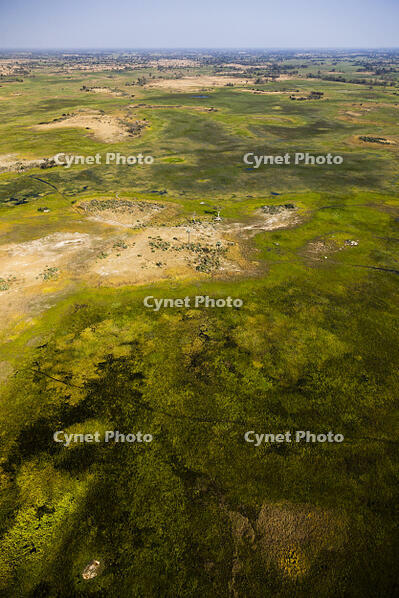 湿地帯　中州　世界遺産　空撮 [SKA110002666]