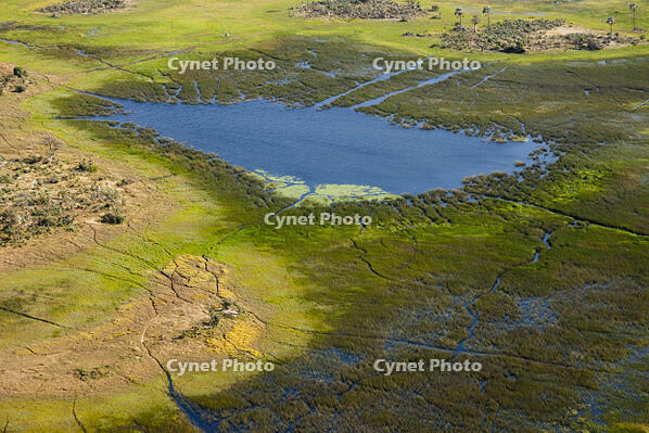 池　湿地帯　中州　世界遺産　空撮 [SKA110002668]
