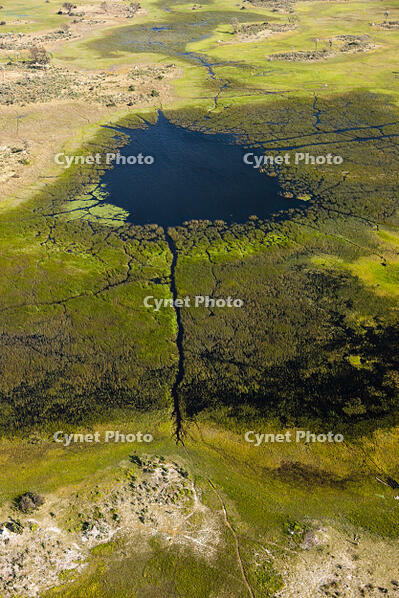池　湿地帯　中州　世界遺産　空撮 [SKA110002669]