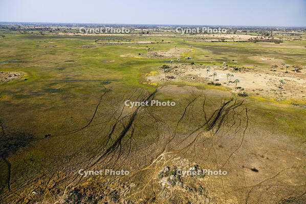湿地帯　中州　世界遺産　空撮 [SKA110002673]