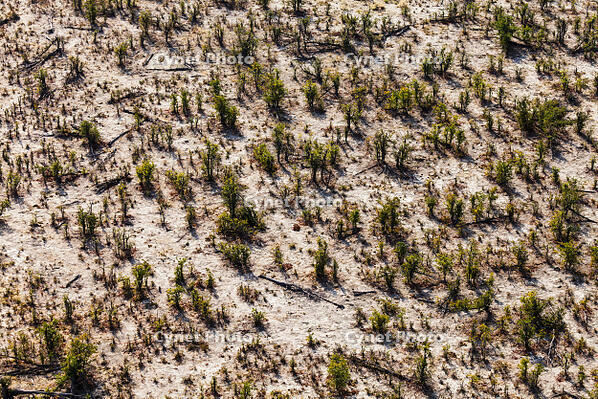 潅木地帯　湿地帯　世界遺産　空撮 [SKA110002675]