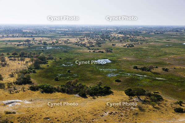 湿地帯　中州　世界遺産　空撮 [SKA110002677]