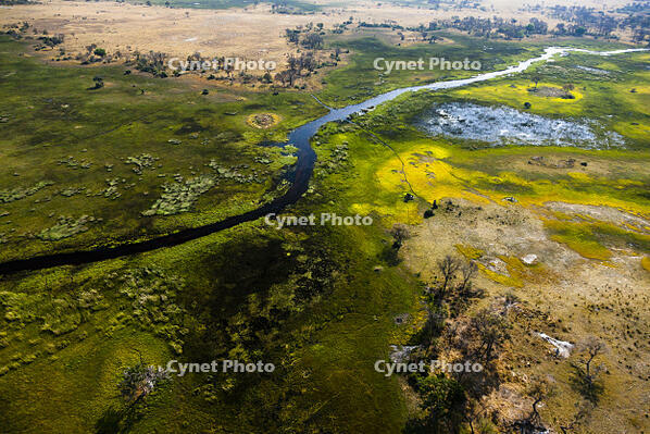 湿地帯　中州　世界遺産　空撮 [SKA110002678]