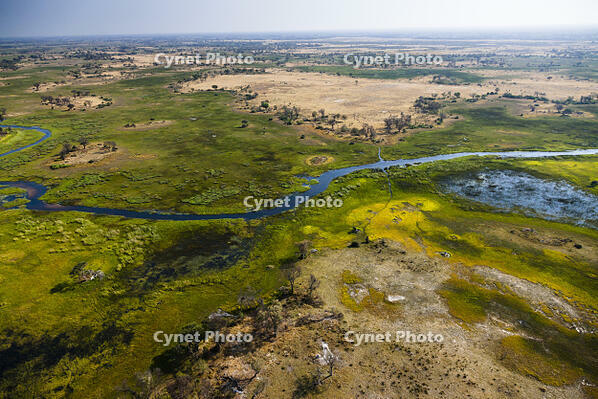 湿地帯　中州　世界遺産　空撮 [SKA110002679]
