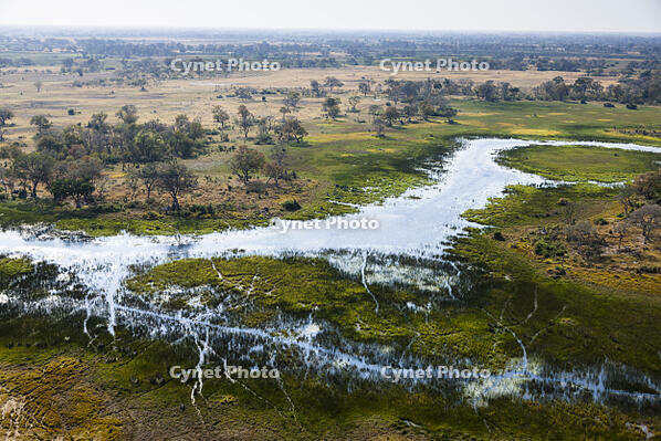 湿地帯　中州　世界遺産　空撮 [SKA110002685]