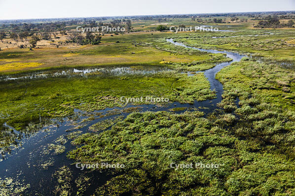 湿地帯　中州　世界遺産　空撮 [SKA110002686]