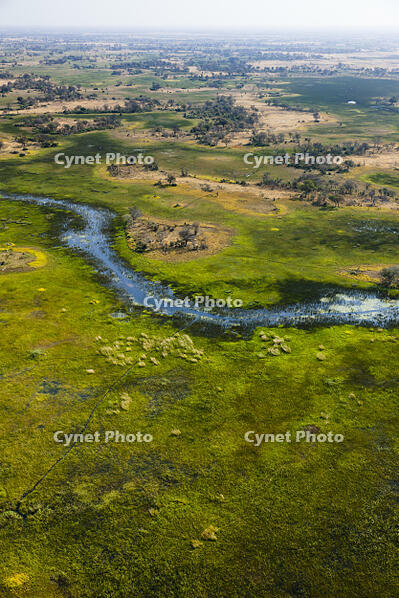 湿地帯　中州　世界遺産　空撮 [SKA110002687]