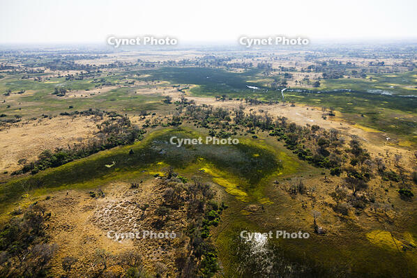 湿地帯　中州　世界遺産　空撮 [SKA110002689]