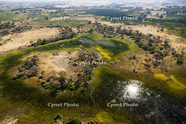 湿地帯　中州　世界遺産　空撮 [SKA110002690]