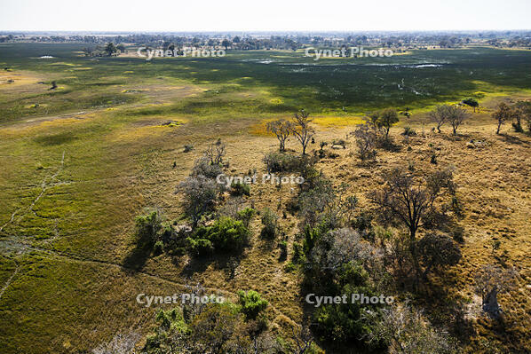 湿地帯　中州　世界遺産　空撮 [SKA110002691]