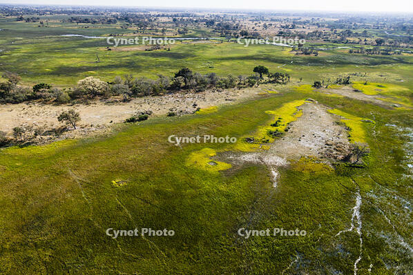 湿地帯　中州　世界遺産　空撮 [SKA110002693]