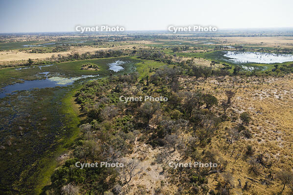 湿地帯　中州　世界遺産　空撮 [SKA110002695]