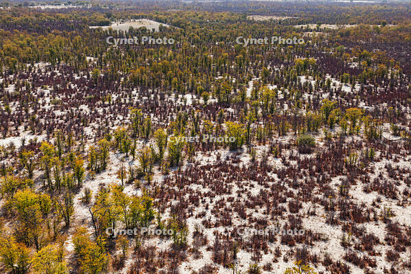 潅木地帯　湿地帯　世界遺産　空撮 [SKA110002699]
