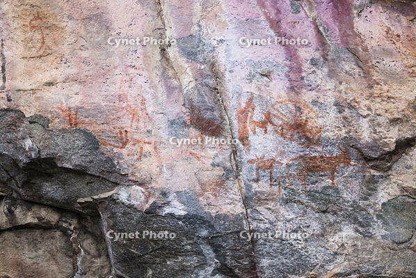 ツォディロの古代岩絵　リノ・コース　レイヨウ　シャーマニズムマーク　世界遺産 [SKA110002700]