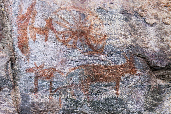 ツォディロの古代岩絵　リノ・コース　レイヨウ　シャーマニズムマーク　世界遺産 [SKA110002701]