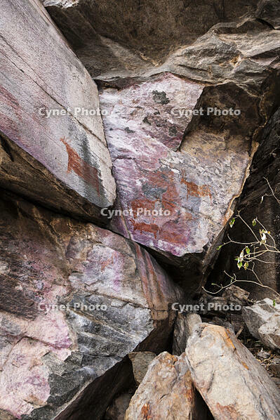 ツォディロの古代岩絵　リノ・コース　エランド　レイヨウ　世界遺産 [SKA110002703]