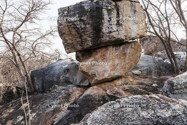 ツォディロの古代岩絵　リノ・コース　シャーマニズムマーク　世界遺産 [SKA110002707]