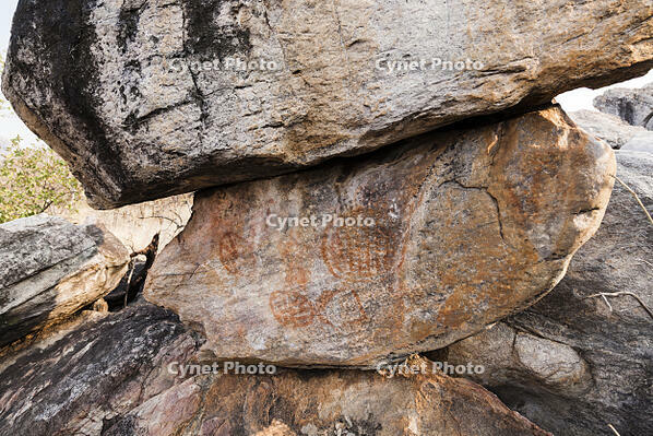 ツォディロの古代岩絵　リノ・コース　シャーマニズムマーク　世界遺産 [SKA110002708]