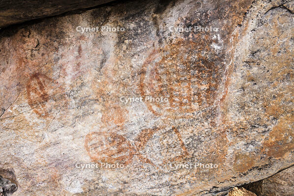 ツォディロの古代岩絵　リノ・コース　シャーマニズムマーク　世界遺産 [SKA110002710]