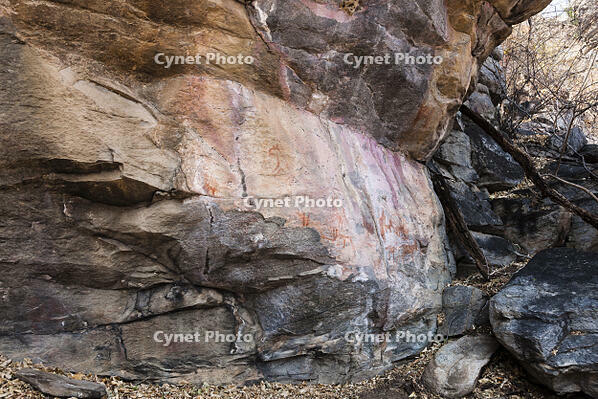 ツォディロの古代岩絵　リノ・コース　サイト16　世界遺産 [SKA110002711]