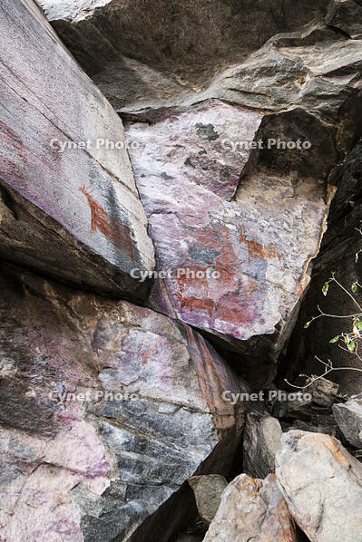 ツォディロの古代岩絵　リノ・コース　サイト14　世界遺産 [SKA110002715]