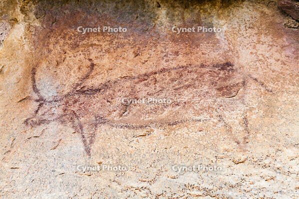 ツォディロの古代岩絵　クリフ・コース　ウォーターバック　世界遺産 [SKA110002725]