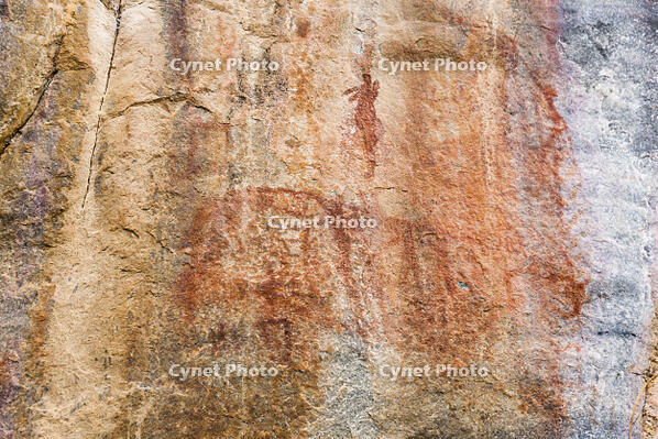 ツォディロの古代岩絵　クリフ・コース　妊婦像　エランド　世界遺産 [SKA110002726]