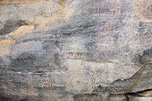 ツォディロの古代岩絵　クリフ・コース　踊る人々　エランド　世界遺産 [SKA110002727]