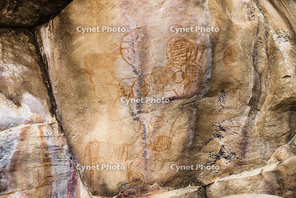 ツォディロの古代岩絵　クリフ・コース　シャーマニズム・マーク　世界遺産 [SKA110002730]