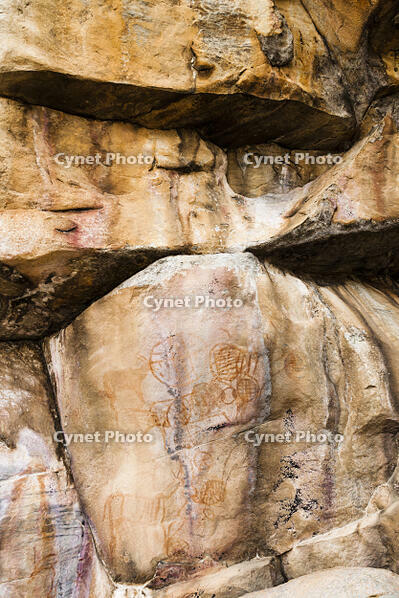 ツォディロの古代岩絵　クリフ・コース　シャーマニズム・マーク　世界遺産 [SKA110002731]