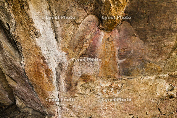 ツォディロの古代岩絵　クリフ・コース　キリン　白絵のサイ　世界遺産 [SKA110002732]