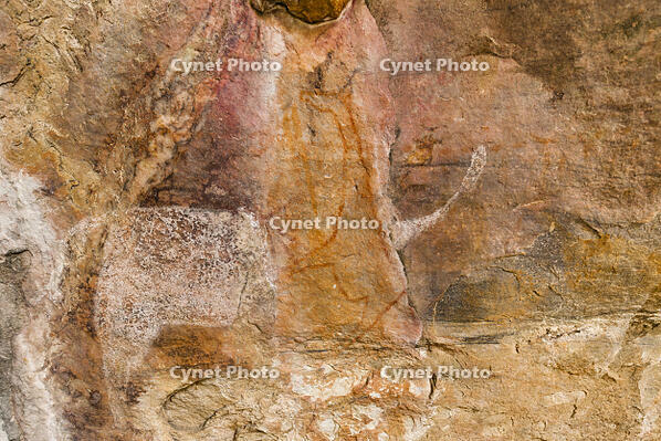 ツォディロの古代岩絵　クリフ・コース　キリン　白絵のサイ　世界遺産 [SKA110002733]