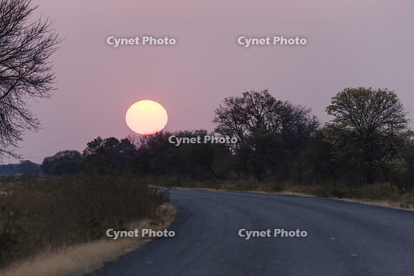 夜明　日の出　道路　カラハリ砂漠 [SKA110002743]