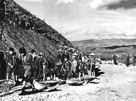 Chinese children aid work on Burma road, 1944 [PHT110262258]