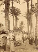 Arabic village along the Nile (Egypt) [PHT110262228]