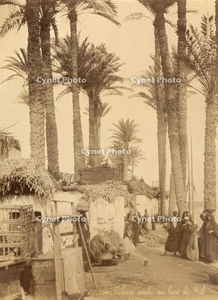 Arabic village along the Nile (Egypt) [PHT110262228]