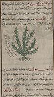 alb15430527 [ABM112033804]