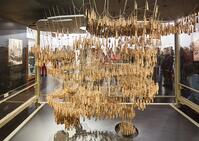 alb10738888 [ABM112291434]