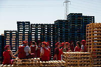 alb23069296 [ABM112341235]