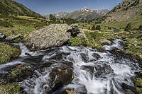 alb23148032 [ABM112341282]