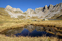 alb23148305 [ABM112341301]