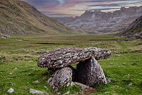 alb23148401 [ABM112341302]